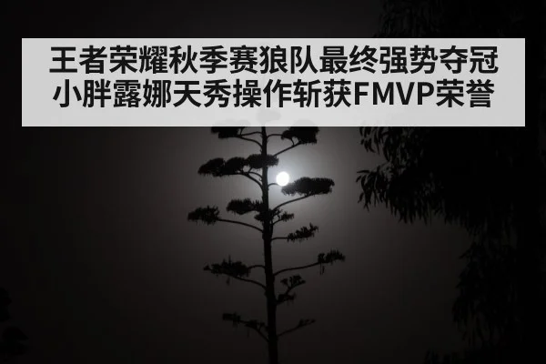 moonlit warrior silhouette