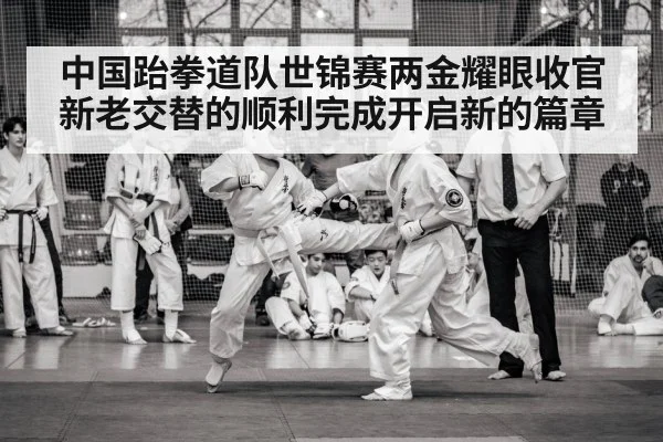 taekwondo match action