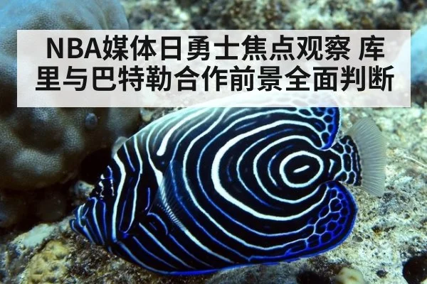 NBA媒体日勇士焦点观察 库里与巴特勒合作前景全面判断